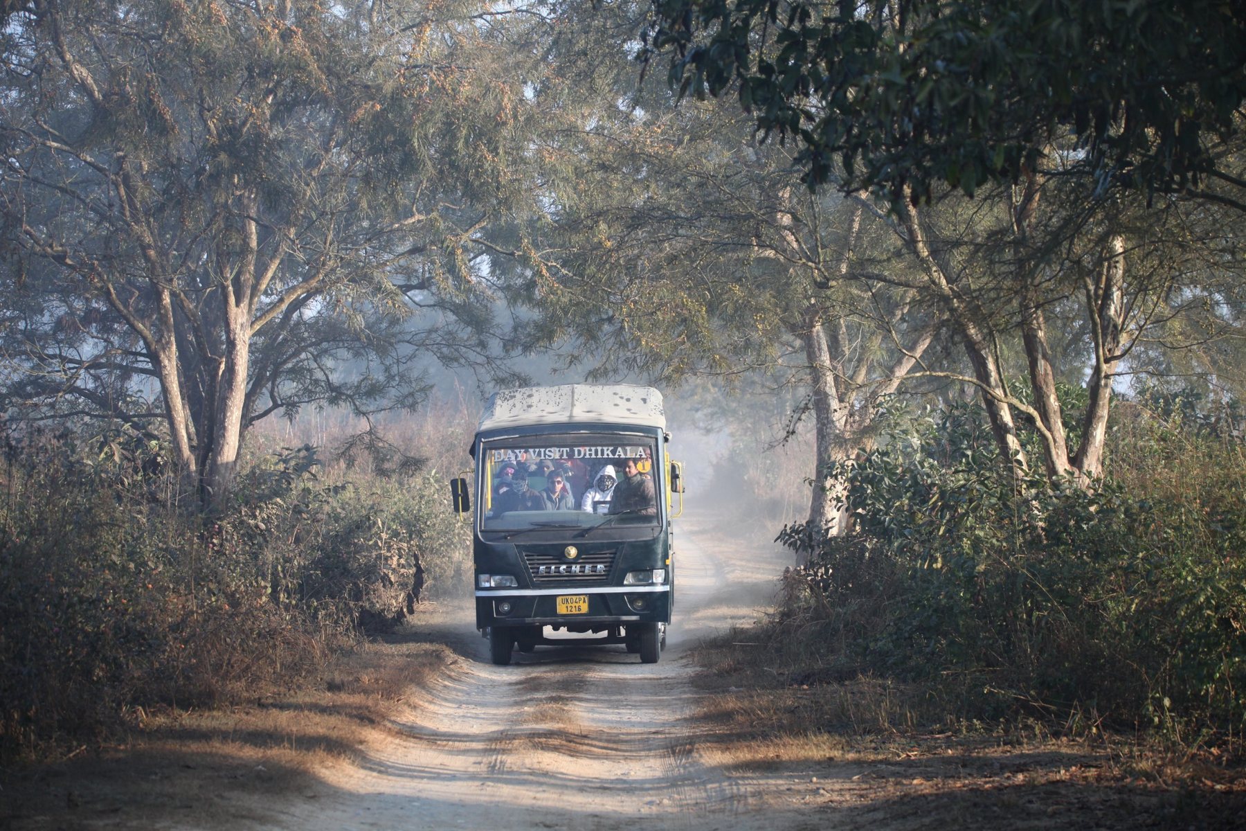 Shared safari vehicle in forest