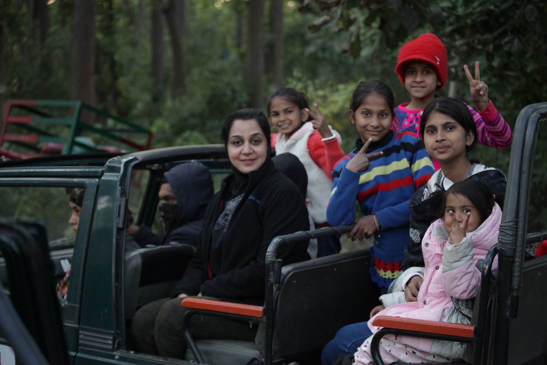 Safari vehicle travelling on a forest road