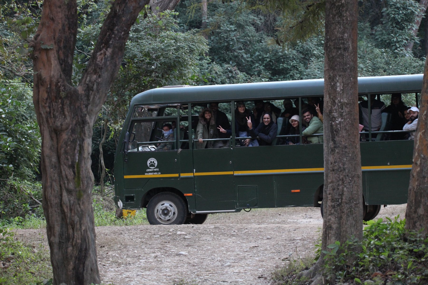 Travellers on a forest jeep safari